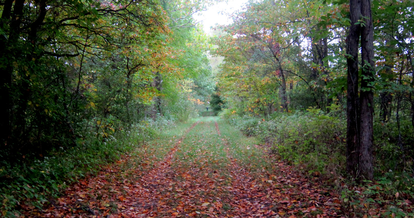 early fall